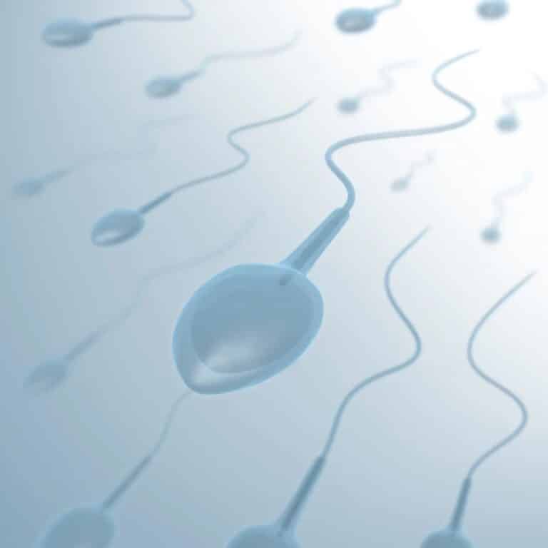 Kopia av Oppet 29 maj Kristihimmelfardsdag 25 Liviakliniken 20250617 175001 0000 1 768x768